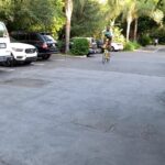 Tyler, the Creator Instagram - BIKE LESSON @pharrell @chadhugo