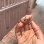 Tyler, the Creator Instagram - all aint well ya know