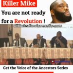 Tyrese Gibson Instagram - THE NEXT MAYOR OF ATLANTA HAS SPOKEN!!!!!!!!!!! @KillerMike Get your Grammy bring it home…… You will be the first Grammy award winning MAYOR OF ATLANTA!!!!!!!!!!!!
