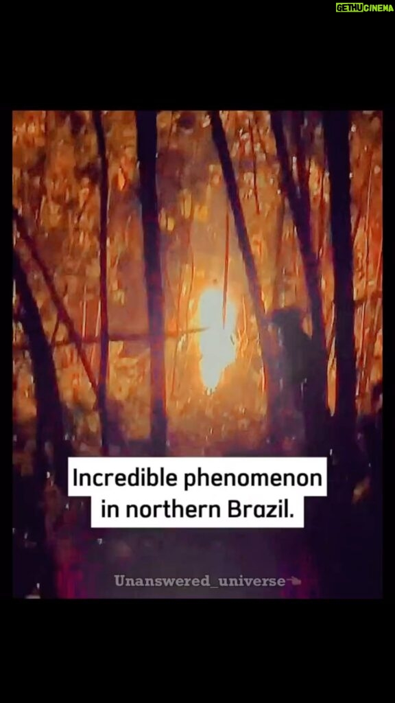 Tyrese Gibson Instagram - There was an alien spotted in Brazil….. a few days ago….. Now this? Seems like the aliens spaceship crashed in the bushes read the captions….