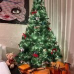 Uhm Ji-won Instagram - 벌써 12월 한 해 마무리의 시작. 울 강쥐들이랑 @love_wonnie1230 트리만들기🎄🌲 우리 2023년 예쁘게 마무리해요💓