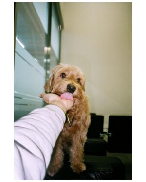 Uhm Tae-woong Instagram - 