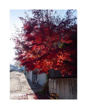 Uhm Tae-woong Instagram - 