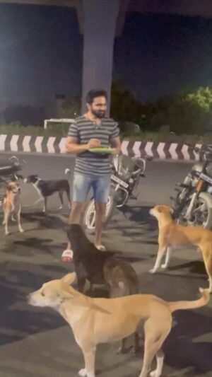 VJ Thanigai Instagram - 🤣❤️ 🐕 #dogsofinstagram #doglover #doggystyles  #streetfood #dinner #soruthanmukiyam #midnight #foodie #drive #thanikai #actor #spreadlove ❤️