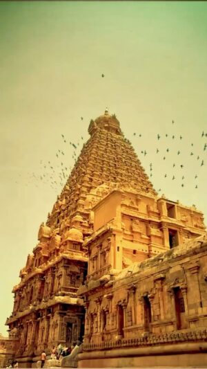 VJ Thanigai Instagram - ஆன்மீக பயணம் ❤️🙏 தஞ்சை பெரிய கோவில் 🥰 

#thanjaiperiyakovil #omnamahshivaya ❤️🙏 

#chola #rajarajacholan #arhitecture #favorite #place #goodvibes #sprituality #spreadlove ❤️