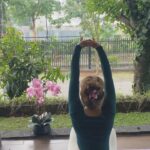 Vanesha Prescilla Instagram - hi! aku mau kasih tau nih life hack aku kalo mau olahraga pas lagi mens! yesss aku pake pembalut ultra tipis 1mm biar gak ganjel pas pake sportswear, the one and onlyyy Laurier Super Slimguard! bener-bener bikin berasa gak pake pembalut, gerakan ku jadi lebih free💃🏻 kalian yang suka gerak aktif dan leluasa, yuk ikutan juga #movewithZEROFEEL dengan Laurier Super Slimguard! Cuma dengan share kegiatan olahraga kamu pas lagi menstruasi dan menangin berbagai hadiah sportswear menarik! follow dan check info lengkapnya di @laurierid yaa! ditunggu sebelum 18 Agustus 2023, jangan sampai ketinggalan! 🏃🏻‍♀️💨
