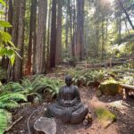 Vanessa Morgan Instagram - Recharging in The Redwoods 🌲☀️ No place I’d rather be @canyonranch