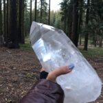 Vanessa Morgan Instagram - The most amazing few days in Mount Shasta, spent in the most beautiful forest I’ve ever seen 🧚🏾‍♀️. Connecting to nature, Love and the magic of all that is. Thankyou God Mount Shasta, California