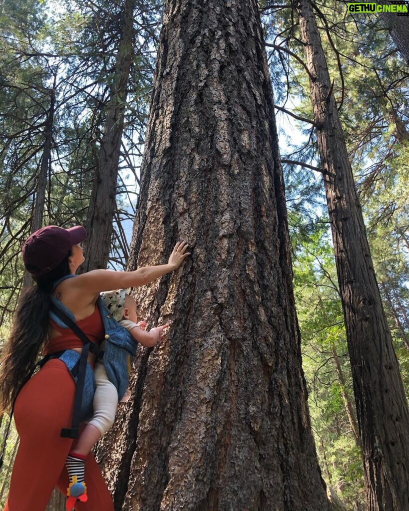 Vanessa Morgan Instagram - Momma’s gonna show you the world bub. Exploring with my greatest teacher ✨🌲 Yosemite