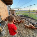Vanessa Morgan Instagram - 🐎’s & the bf’s farm 🐔🐄♥️🍯 🐝
