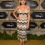 Vannessa Vasquez Instagram - When you wish upon a star 💫 …. NATIONAL TREASURE PREMIERE Grateful to be a part of this epic franchise!! Check it out Dec 14th on Disney+ y’all are going to love ❤️ it!!! I play “Manuela Valenzuela” 💛 Hair and makeup 💄 by @vanezzy_ @disneynt Infinity SS 2023 Dress @rccaylanatelierofficial Rose Gold Triangle Earrings @mahrukh.akuly.jewelry Black Mini Rock Clutch @carat23 @regardstylehouse Photos: Jon Kopaloff / Getty Images