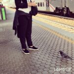 Vatan Şaşmaz Instagram - #birdsofinstagram #blackholesun #chriscornell