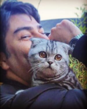 Vatan Şaşmaz Instagram - #minty #scottishfold #catsofinstagram