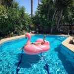 Vatan Şaşmaz Instagram - #herkeseiyipazarlar #flamingo #pazarkeyfi