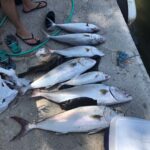 Vatan Şaşmaz Instagram - Vay anasini sayin seyirciler😁resmen denizi kuruttuk 😉balikkklllaaarrrrrrr 🎣 @mustafarahmantohma @deephumans @volkan_hepozel @alpkirsan @oltacicocuk #rasimadali #akya #amberjack #fish #fishing #jigging #spearfishing #arsuz #domuzburnu