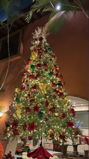 Virgínia Wanderley Instagram - Gostaram do meu natal em família? 🎄🎅🏼