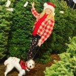 Virginia Madsen Instagram - Here’s what Mom taught me. When times are good it’s easy to be thankful but when times are hard, have Christmas Joy anyway. Being thankful got us through and I don’t know how she did it. Love you Mombey. #christmas #thankful and I love you St. Nick @narcissusholmes