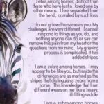 Virginia Madsen Instagram - Thank you Chris for sharing this and for those who speak their condolences to me and my family. If you or someone you know needs to talk call 988. @suicidepreventionsociety #988 #talk @seans.house