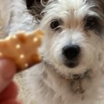 Virginia Madsen Instagram - A little matzo for the Angel. #adoptdontshop #perrobombero