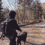 Vitalii Hordiienko Instagram - Одного разу в Карпатах🏞 Ukraine