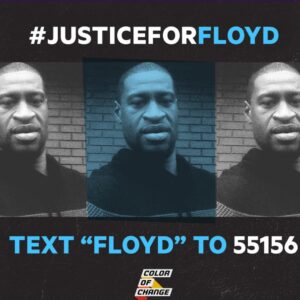 Vivian Hicks Instagram - “United we stand, divided we fall”
Alone we can do so little, together we can do so much. ✊🏿✊🏾✊🏼✊🏻 Please click the link in my bio to the sign petition or text “Floyd” to 55156 #justiceforgeorgefloyd #blacklivesmatter #icantbreathe @sallymillerfash love my girls ❤️