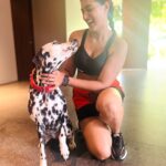 Viviya Santh Instagram – Meet “pebble” cutie 🥰🥰

#dalmatian #dogoftheday #pebbles ECR