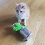 Wes Craven Instagram - Cinnamon looking wistful with Oscar the Grouch. #catsofinstagram #cats