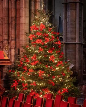William, Prince of Wales Instagram - A very special Carol Service, coming soon.

Together At Christmas with @earlychildhood is returning to Westminster Abbey on Friday 8 December.

This will be a special moment to thank all those who do so much to support babies, young children and families in our communities across the UK.

We can’t wait for you to join us too - tune in on @ITV, Christmas Eve