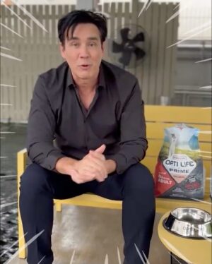 Willie McIntosh Instagram - 💖Opti Life Prime โปรเด็ดที่วิลลี่ และหอย อยาก แจก แจก แจก ทั้งโค้ดส่วนลด และของแถมจากเบลเยี่ยม 

🎉แจกโค้ดส่วนลดทันที *100 และ 320 บาท วันนี้ - 30 มิถุนายน 2565  ที่ร้าน Line My Shop จ้า

🎉แถมฟรี! ชามอาหารส่งตรงจากเบลเยี่ยม  มีขอบกันลื่นดีงามมากมาย! 

⚡ Opti Life Prime คุณภาพที่วิลลี่ และเสนาหอย มั่นใจ  พิสูจน์แล้ว สุขภาพดีจริง

สอบถามข้อมูลเพิ่มเติม Line official @Optilifedogcat หรือ 
คลิ๊กมาที่ https://line.me/R/ti/p/@653ojqmx
หรือ สั่งซื้อได้ทันที
https://shop.line.me/@optilifedogcat

#อาหารหมา
#Optilifedogandcat
#สุขภาพสุนัขดีต้องOptilife
#หมากินยากต้องOptilife
#อาหารสุนัขgrainfree
#อาหารสุนัขเทียบเท่าBarf
#วิลลี่แมคอินทอช
#เสนาหอย