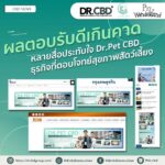 Willy McIntosh Instagram - ฝากด้วยนะครับ https://drpetscbd.com/