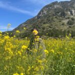 Woo Do-hwan Instagram - 🌼🌼🌼