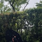 Xu Minghao Instagram - 雨