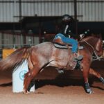 YaYa Gosselin Instagram - 🖤🐴🍓 Fort Worth, Texas