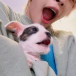 Yangyang Instagram - Thank you @buzzfeedceleb for giving us such a cute interview❤️❤️ hope to do another puppy interview in the future!!