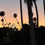 Yangyang Instagram - The City Of Angels🪽 Los Angeles