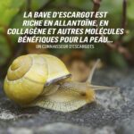 Yannick De Martino Instagram - Le lancement de mon premier spectacle a probablement été un des moments les plus stressants de ma vie… Ça ex-aequo avec toutes les fois qu’on me demande mon code postal! Je ne m’en souviens JAMAIS! Je dois toujours aller sur le site de poste Canada écrire mon adresse… En tout cas! J’étais nerveux évidemment de la réception puisqu’on ne peut jamais la prévoir mais au final ça été une expérience qui m’a encore plus fait prendre confiance en mes moyens. D’ailleurs je n’ai jamais compris pourquoi le mot «moyen» faisait référence autant à nos ressources personnelles qu’à quelque chose qu’on trouve ordinaire. Y’a plein d’homonymes particuliers… Comme un buffet qui peut être autant un meuble servant à ranger de la vaisselle… Qu’un endroit où les nord-américains se défoncent l’estomac avec de la nourriture réconfortante asiatique sans aucun scrupule… Scrupule… Ça c’est quelque chose qu’on parle juste quand c’est absent… On ne dit jamais : «Cette personne a vraiment beaucoup de scrupules…» En tout cas! C’est pour dire en fait que j’ai eu l’agréable surprise que tous les mots employés pour décrire mon spectacle ont été hyper positifs! En voici quelques un : Ps. Merci à tous les gens qui sont venus voir mon spectacle ! Et les autres qui viendront bientôt dans une salle où « Les Dalmatiens Sont Énormes En Campagne » sera présenté! Yannickdemartino.com Paix. Amour. Curiosité.