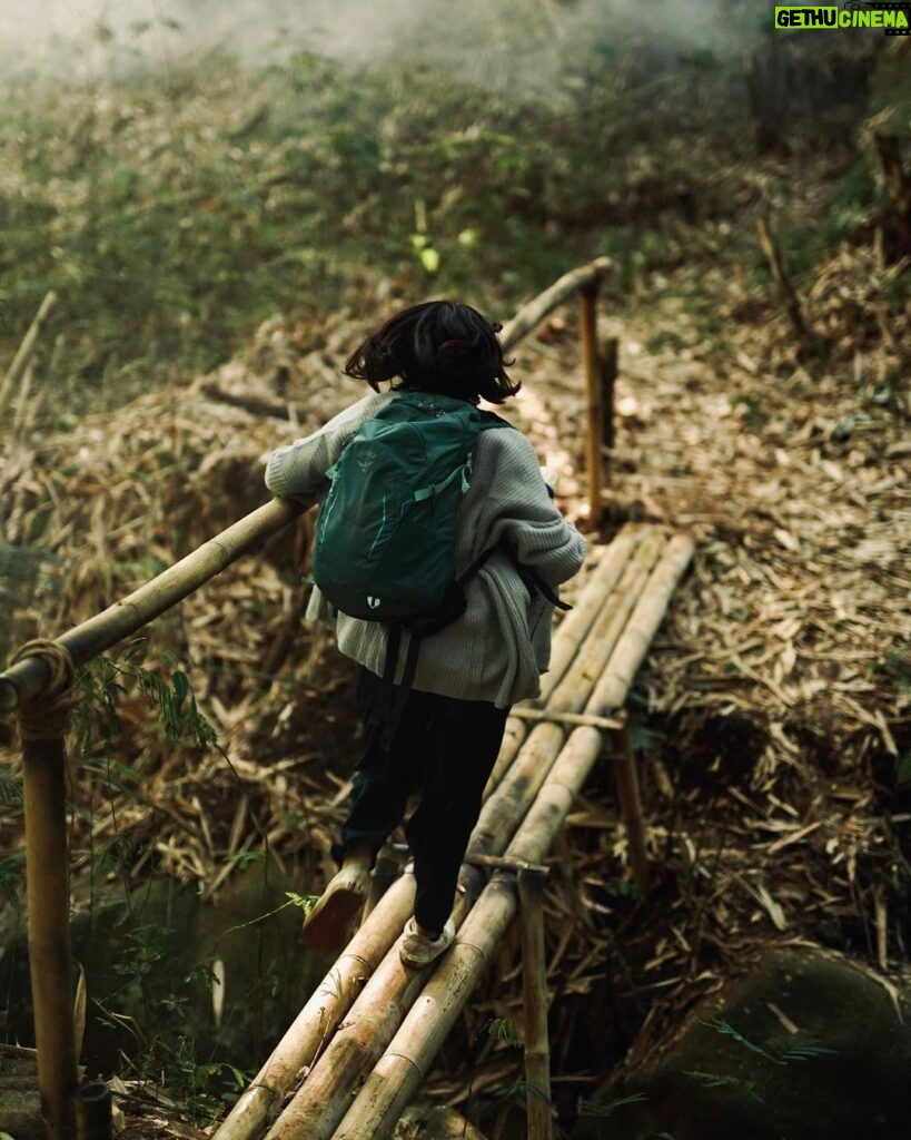 Yasamin Jasem Instagram - Fun Fact Pamali Dusun Pocong tahukah kamu sebenarnya scene hutan bambu ini ditake pada siang hari, dengan bantuan @edbert_joshua & @iamwillchandra dan team scene nya bisa jadi malam🤫 dan juga jembatan bambu yang dibuat oleh Pak Budi @budiriyanto54 Art Director dari @pamalimovie tidak lama sebelum kita take scene tersebut🖤 Thank you for letting me be in this project mas @bobbyprasetyo 🙏🏻😭