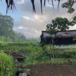 Yayan Ruhian Instagram - Lembur kuring #saungbambuhaur #greget