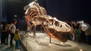 Yeşim Büber Instagram - Paris' te T- Rex sergisine denk geldik!