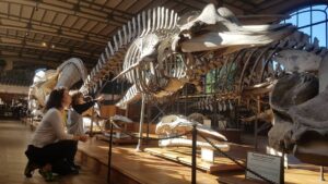 Yeşim Büber Instagram - Paris' te T- Rex sergisine denk geldik!
