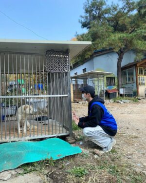 Yoon Jun-won Instagram - 멍멍멍