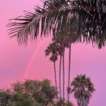 Yulia Kirillova Instagram - when life is rad 🌶️ Los Angeles, California