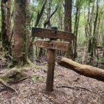 Yumi Stynes Instagram - Going on a big hike is such a massive undertaking: Of time preparing Of gathering the right gear and food Fitness And then the time it takes away from work and home to do the actual hike... ...that I found myself wondering, "is this the last time I'll ever do this?" And you start thinking of all the things that you may only do once more... Cradle Mountain - Tasmania