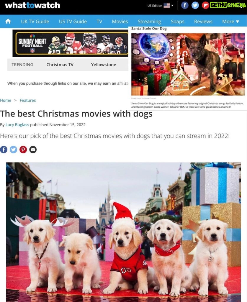 Yvette Rachelle Instagram - ❤💚🐶Looking for a Christmas movie with #Dogs #whattowatch #rottentomatoes listed best #dogslovers films 💚❤🐶 1. #santabuddies #santabuddiesthelegendofsantapaws 🐾 cute family film starring #greatpyrenees #greatpyreneespuppy or in Europe we call them #pyrenean You can find this sweet #puppy filled adorable extra cute film on #rokuchannel 2. 💚💚💚#agrinchstolechristmas with #thegrinch by #Ronhoward Starring the best #grinchlover💚❤🎄 #jimcarrey 💚💚3.An All Dog Christmas Carol 4. 🎅 Santa Stole Our Dog 🐶 #santastoleourdog our #universalstudios film made it about Santa well Ed Asner stealing the family dog but accidentally of course- as Santa 🎅 doesnt steal he gives. 🎁 I play ❄ Snowflake the Elf & Windy the #Weathergirl and LilBear plays Rusty the 🐶 Plus #ericrobertsactor as Toy CEO ❤❤❤ 5. A Christmas Tail 🐩 🐕 6. A Dog Named Christmas #adognamedchristmas 🎄 🎁 #hallmarkmovies #hallmarkchannel #hallmarkchristmasmovies ❤❤🐕🐶Go grab your furry best friend and enjoy these happy Holidays films woof 🐶 woof 🐶 Hey if you dont have a dog 🐕 Its a great time #adoptadog #dogadoptions in the #newyear2023 🎉 🎈 Have a #happynewyearseve Actress #animalactivist #yvetterachelle ❤💚🐶