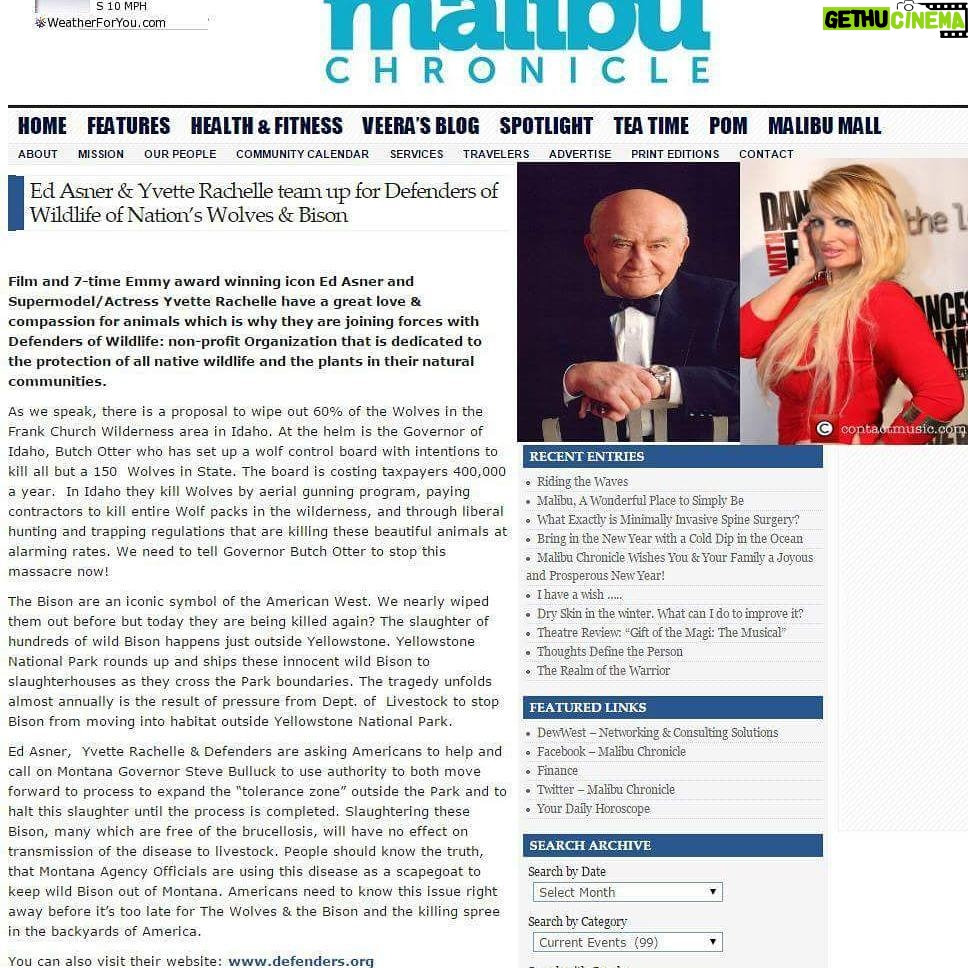 Yvette Rachelle Instagram - Thanks #Malibu #MalibuTimes #Magazine for letting readers know about what our Government & hunters are doing to our beloved #wildlife in our backyards in #America. #Actor #AnimalActivist #EdAsner & myself are helping animal Charity #defenders #defendersofwildlife in their efforts to help stop the killing of #Wolves, #Bison and #wildlife of North America Love & Peace it's a cruel World to those wildlife that have no voice. #Actress #AnimalActivist #AnimalLover #Vegan #vegetarian #YvetteRachelle