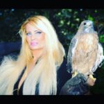 Yvette Rachelle Instagram - 🌎🌍🌏Everyday should be #EarthDay as we should celebrate the beauty of planet and its inhabitants everyday🌎🌍🌏Here is a beautiful #hawk a bird of prey famed for being a favorite among #falconers In #Sweden 🇸🇪 the #eurasiansparrowhawk has been utilized by falconer’s since 16th century and praised for its courage. Other hawks in #scandanavia are #roughleggedhawk and #northerngoshawk . In America the #Redtailedhawk is widely used for sound effects for its unique high pitched calls in both movies and tv shows like #Yellowstone Best way to take care of these #wildbirds and all wildlife is to not use mice or rat poison or weedkiller as it ends up in food chain sadly killing vast amounts of birds needlessly. This is one way to help our #animalplanet ! Or help donate to #defendersofwildlife #nationalaudubonsociety #californiawildlifecenter Sweden wildlife Charities. Hugs 🤗 #swedishgirl topmodel actress #yvetterachelle Peace ☮️ on 🌍 Earth