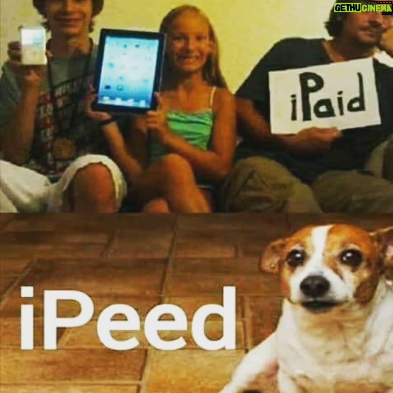 Yvette Rachelle Instagram - Very #funny #cute #dogs Gotta love your #ipad #tablet 😁#hugs Joy to the World #Actress #Universal #santastoleourdog #doglover #YvetteRachelle