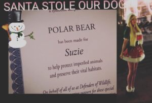Yvette Rachelle Instagram - Big Thanks to #Actress #TopModel #YvetteRachelle for donating her time to film Santa Stole Our Dog to help save our planet from #globalwarming saving #Endangered #endangeredspecies #endangeredanimals #wildlife Rachelle would like to be remembered for helping save wildlife and  our planet.Big thanks to all of her fans on #instagram that help save #Wildlife #defendersofwildlife Charity #Peace n #Love is her Motto