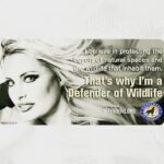 Yvette Rachelle Instagram - ♡GREAT THANKS TO #DefendersofWildlife #Defenders for letting me help save #Wildlife along #Celebrities #Singer #Pink #OliviaNewtonJohn #DonnaMills #EdAsner #natgeo #joelsatore #astronaut #Football #LelandMelvin Please #PresidentTrump #inauguration #donaldtrump make #America great by also saving our #Nation #Animals #Environment #Land #PolarBears #Eagles #Bears #Wolves #Wolf #Whales #dolphins #Manatee