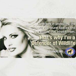 Yvette Rachelle Instagram - ♡GREAT THANKS TO #DefendersofWildlife #Defenders for letting me help save #Wildlife along #Celebrities #Singer #Pink #OliviaNewtonJohn #DonnaMills #EdAsner #natgeo #joelsatore  #astronaut  #Football #LelandMelvin Please #PresidentTrump  #inauguration #donaldtrump make #America great by also saving our #Nation  #Animals #Environment  #Land #PolarBears  #Eagles #Bears #Wolves #Wolf #Whales #dolphins #Manatee